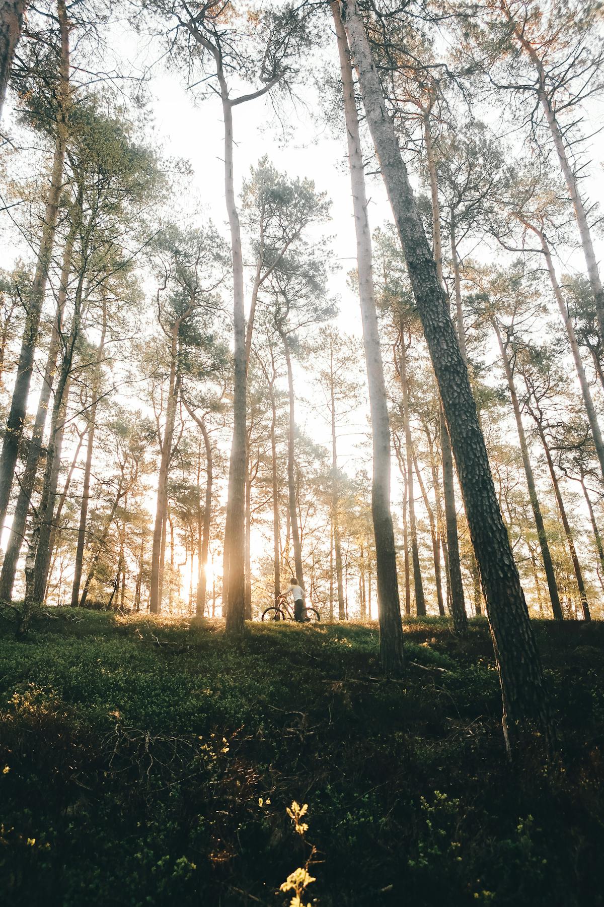 Stand partenaire lors d'un événement sportif